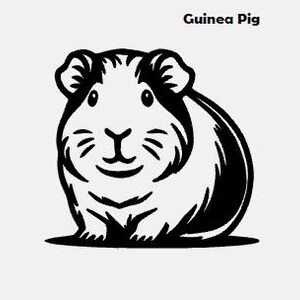 May include: A black and white illustration of a guinea pig. The guinea pig is sitting on its hind legs with its front paws tucked in. It has a white body with black markings on its head, ears, and back.