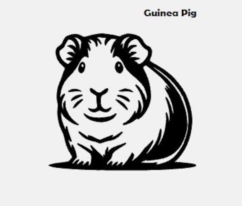 May include: A black and white illustration of a guinea pig. The guinea pig is sitting on its hind legs with its front paws tucked in. It has a white body with black markings on its head, ears, and back.