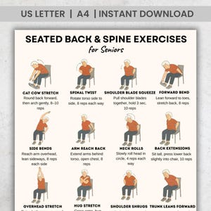 Seated Back & Spine Exercises for Seniors Printable Chart | Chair Stretches PDF | Elderly Posture Mobility Balance Illustrated Workout