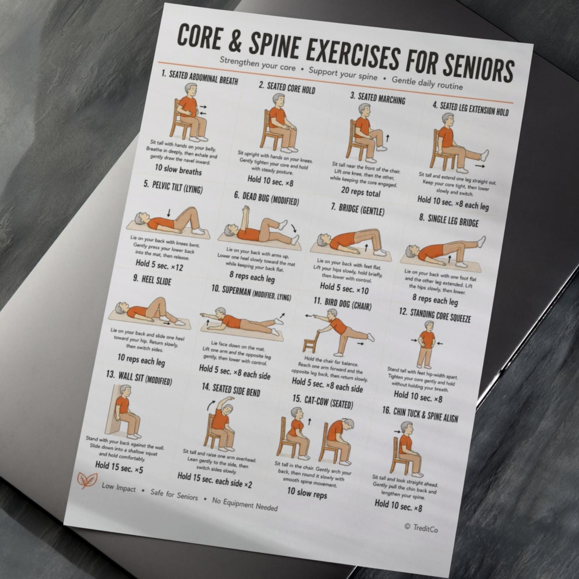 Core & Spine Exercises for Seniors Printable PDF — 16 Gentle Core ...