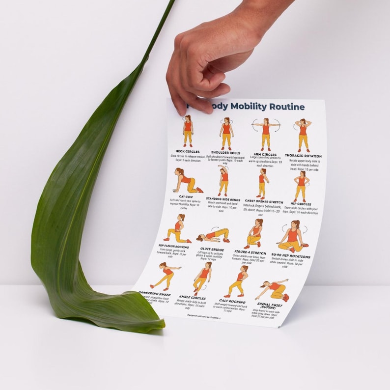 Full Body Mobility Routine Printable, 16 Mobility Exercises PDF ...