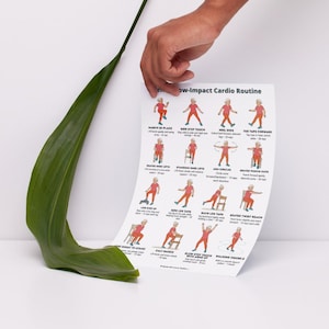 Senior Workout Bundle Printable | 3 Low-Impact Exercise Posters