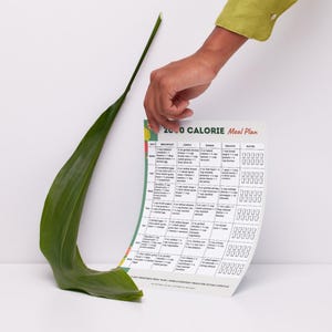 2000 Calorie Meal Plan Printable | 7-Day 2000 Calories Menu PDF