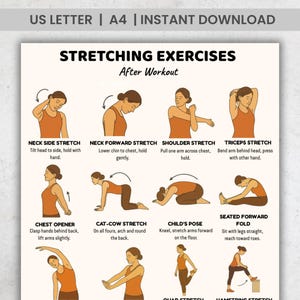 Tabla de ejercicios de estiramiento después del entrenamiento, rutina de estiramiento post-entrenamiento (PDF), tabla de ejercicios de fitness imprimible para entrenar.
