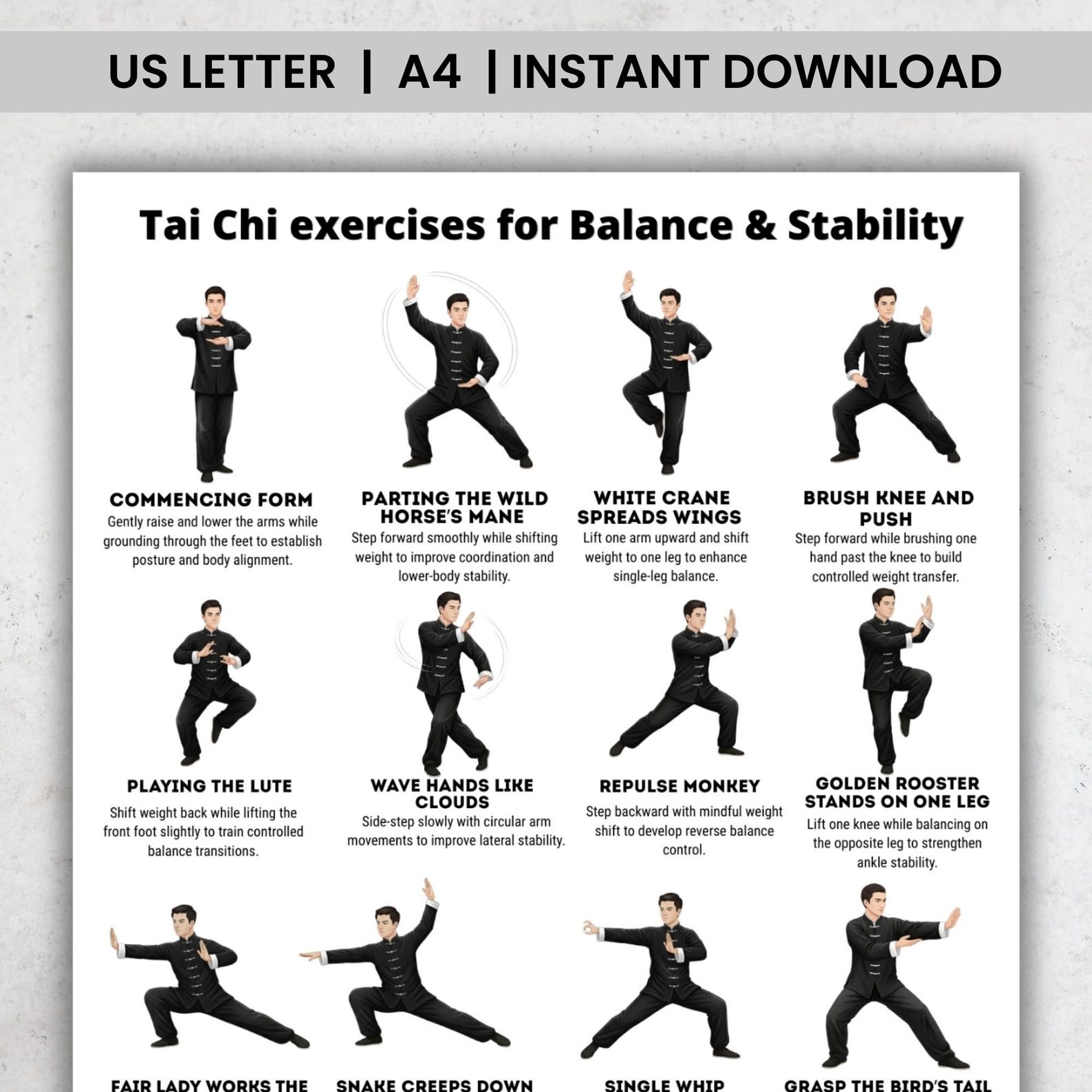 Tai Chi Exercises Printable Poster PDF, Tai Chi Workout Chart, Balance ...