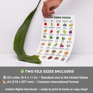 High Fiber Foods Chart | Printable Fiber Food List | Plant-Based Diet PDF