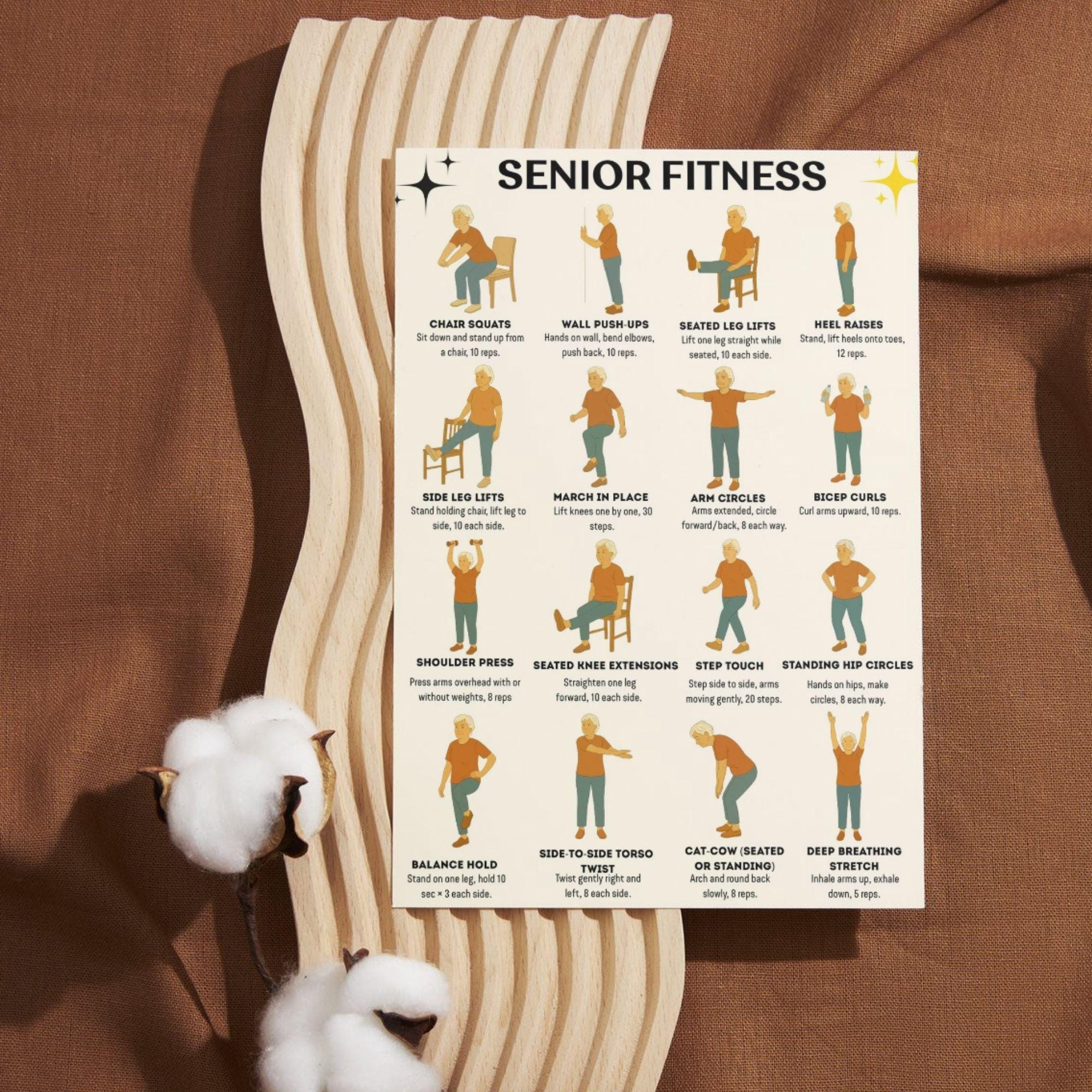 Senior Fitness Printable PDF, 16 Easy Chair & Standing Exercises for