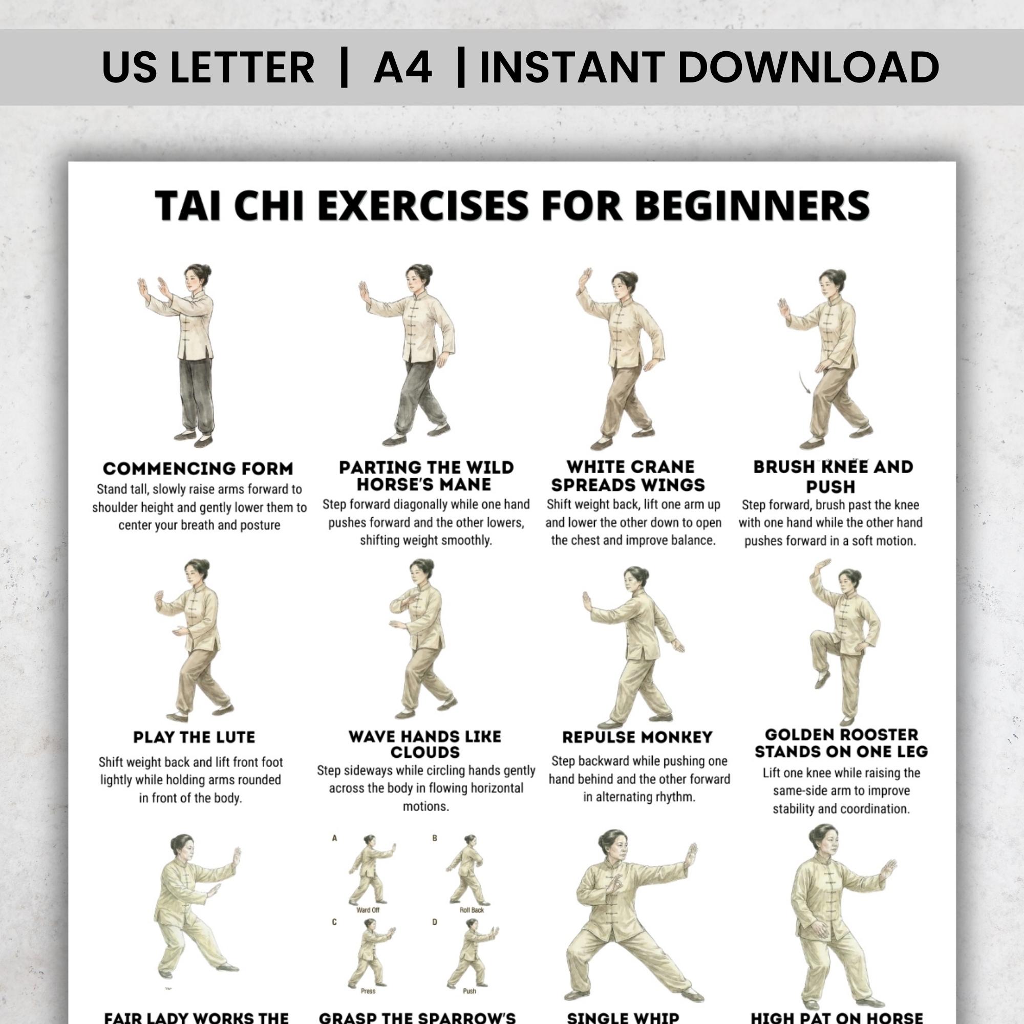 Tai Chi For Beginners Men Women Printable Poster PDF Tai Chi Workout 