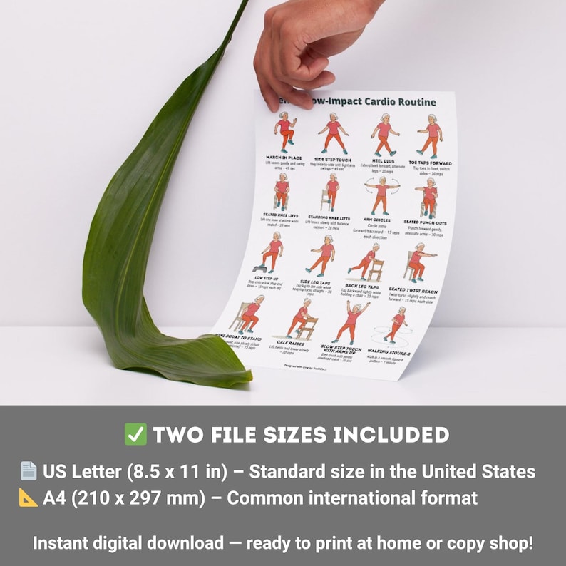 Senior Workout Bundle Printable | 3 Low-Impact Exercise Posters