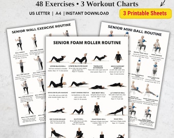 Senior Exercise Bundle Printable | 3 Gentle Routines for Seniors: Wall Exercises, Foam Roller Routine, Mini Ball Workout PDF Set Guide Chart
