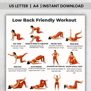 Op de afbeelding: Een witte afbeelding met de tekst "US LETTER | A4 | INSTANT DOWNLOAD" bovenaan. Daaronder staat de tekst "Low Back Friendly Workout". De afbeelding toont illustraties van verschillende oefeningen, waaronder Cat-Cow, Child's Pose en Pelvic Tilts.