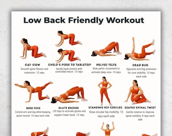 Low Back Friendly Workout | Safe Core Exercises | Beginner Mobility Routine | 16 Gentle Stability & Flexibility Moves Instant Download
