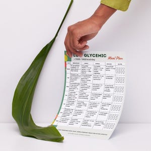 Low Glycemic Meal Plan Printable | 7 Day Low GI Menu PDF