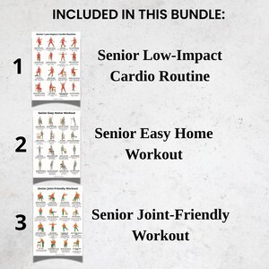 Senior Workout Bundle Printable | 3 Low-Impact Exercise Posters