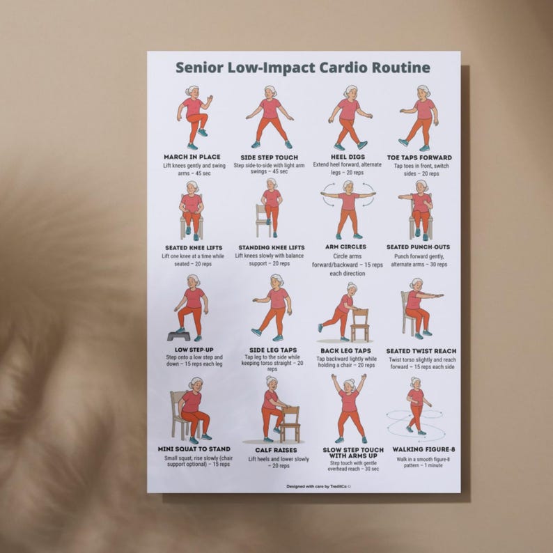 Senior Workout Bundle Printable | 3 Low-Impact Exercise Posters