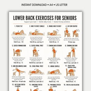 Peut inclure: Guide imprimable A4 intitulé "Exercices pour le bas du dos pour les seniors" avec des illustrations d'exercices. Comprend des instructions pour les inclinaisons pelviennes, les genoux à la poitrine et les torsions spinales. Le texte "Téléchargement instantané" est en haut.