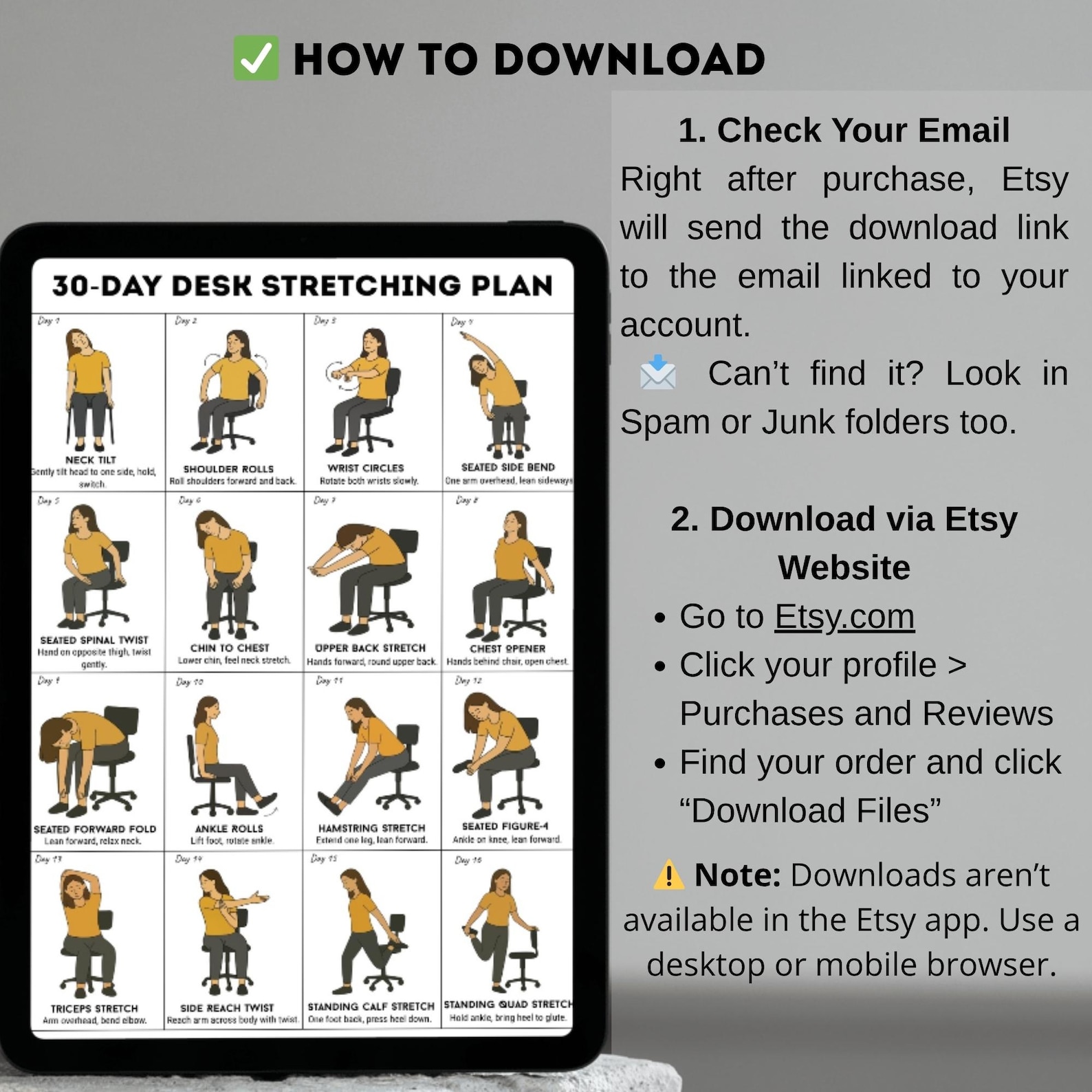 30 Day Desk Stretching Plan, Office Chair Exercises, Gentle Seated