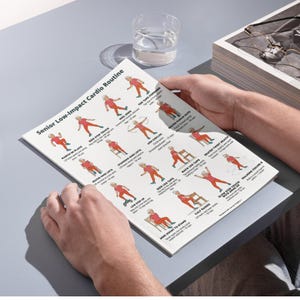 Senior Workout Bundle Printable | 3 Low-Impact Exercise Posters