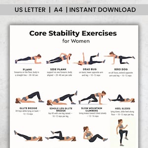 May include: A printable workout guide with illustrations of core stability exercises. The guide includes exercises like plank, side plank, dead bug, bird dog, glute bridge, single-leg glute bridge, slow mountain climbers, and heel slides.