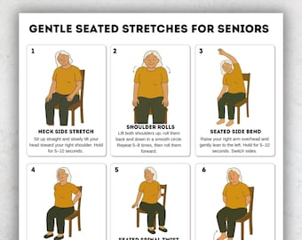 Gentle Seated Stretches for Seniors PDF, Chair Exercise Printable