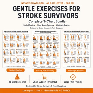 Könnte beinhalten: Ein digitales Set aus drei Anleitungsplakaten mit dem Titel Gentle Exercises for Stroke Survivors, das eine Sitzroutine, Hand- und Arm-Rehabilitation sowie Geh- und Gleichgewichtsübungen umfasst. Die Plakate enthalten 48 Übungen mit Text.