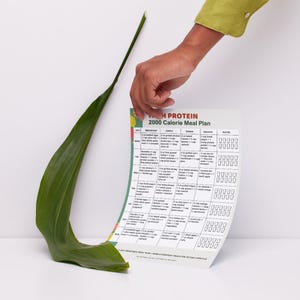 High Protein 2000 Calorie Meal Plan Printable | 7 Day Protein Meal Prep PDF