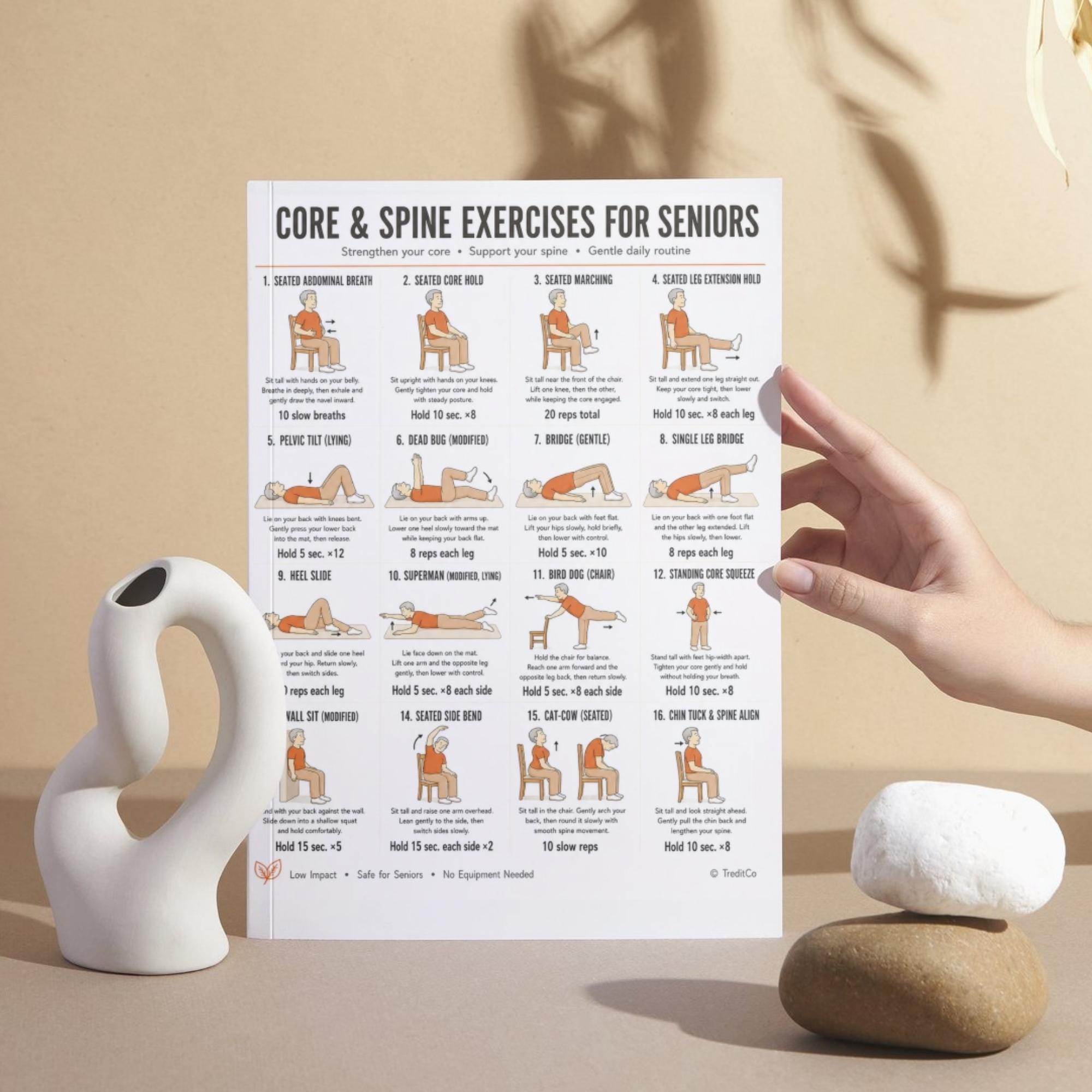Core & Spine Exercises for Seniors Printable PDF — 16 Gentle Core ...