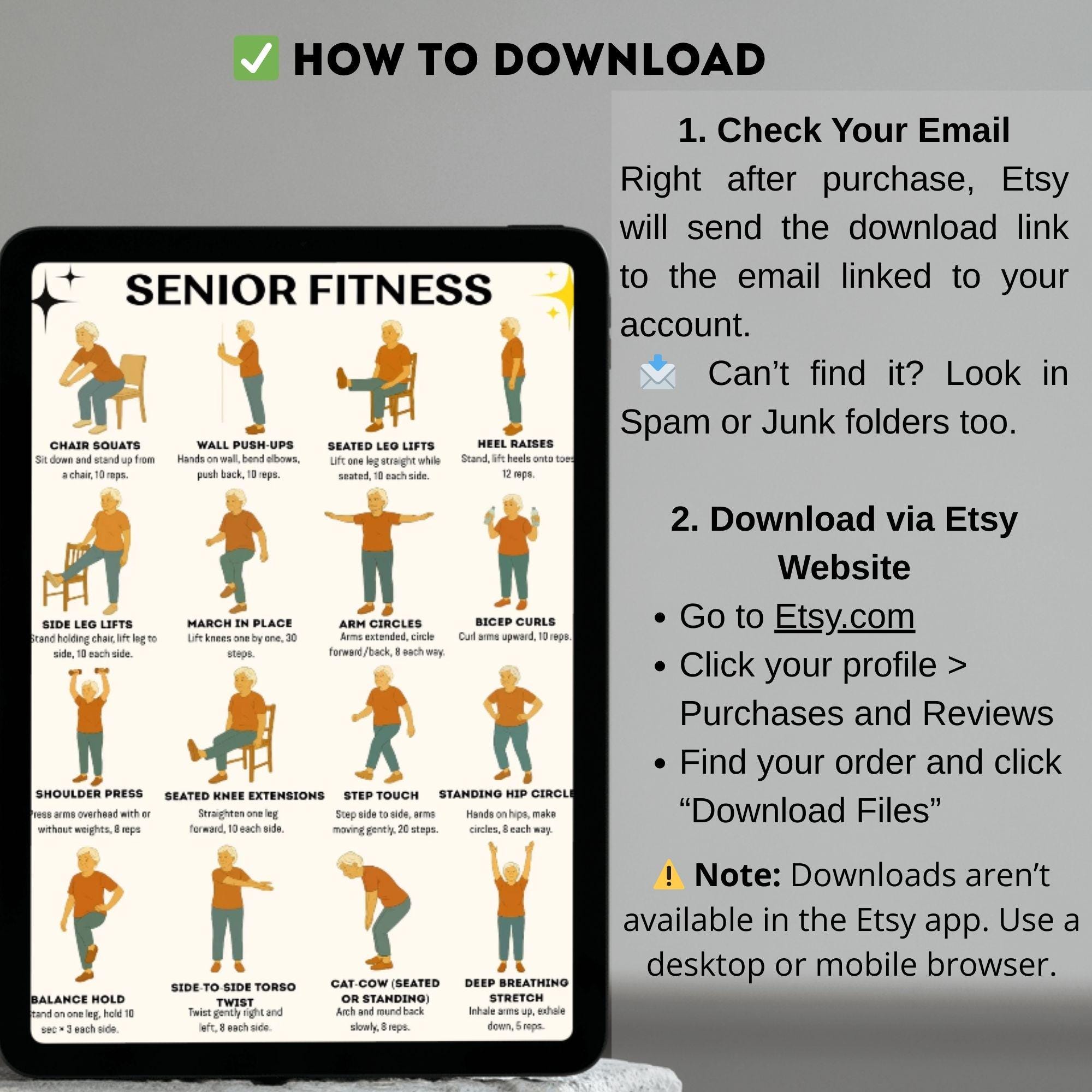 Senior Fitness Printable PDF, 16 Easy Chair & Standing Exercises for ...