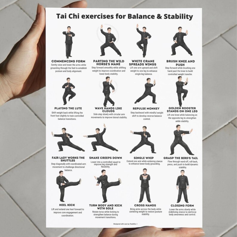 Tai Chi Exercises Printable Poster PDF Tai Chi Workout Chart Balance 