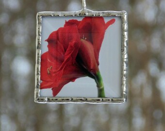 Red Amaryllis flower ornament, stained glass small space wall decoration