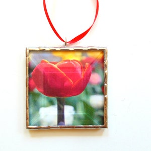 Red tulip flower, photograph ornament framed in stained glass, everlasting flower gift for mom Bild 2