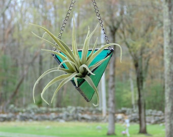 Air plant holder, stained glass teal green, wall vase