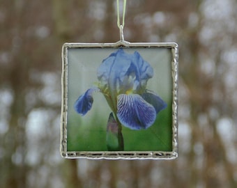 Iris flower photograph ornament, stained glass mini wall art