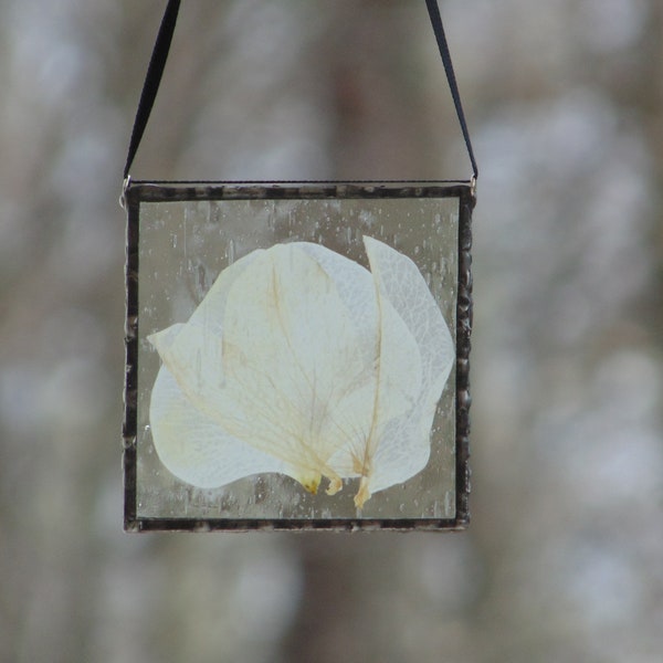 Pressed flower Orchid petals framed in stained glass, mini wall art, minimalist home decoration