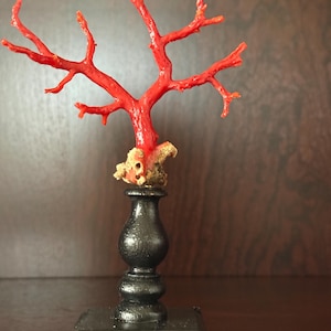 Peut inclure: Une sculpture de corail rouge vif, ressemblant à un petit arbre, est montée sur une base en bois noir. Les branches complexes du corail et le support sombre et élégant créent un contraste saisissant, idéal pour la décoration intérieure.