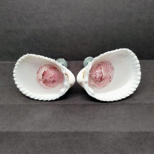 May include: Two decorative seashell drawer pulls. Each pull features a white shell with a pink and red interior. The shells are mounted on silver-toned hardware. These coastal-themed pulls would be a great addition to any dresser or cabinet.