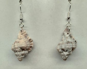 Apple Murex Florida Seashell Earrings - sm