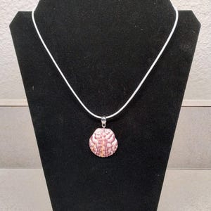 Calico Scallop sea shell choker necklace