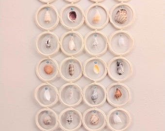 Common Florida West Coast Seashells Wall Hanging