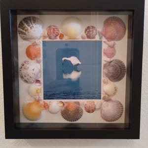 Shell Shadowbox with Photo - black