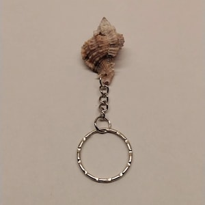 Apple Murex Keychain