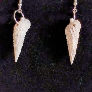 May include: A pair of white seashell earrings. Each earring features a cone-shaped shell pendant with a textured surface, suspended from a silver-colored fish hook ear wire. The earrings are displayed against a dark background.
