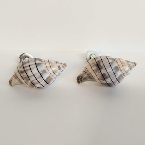 May include: Two cabinet knobs featuring natural spiral seashells as the handle. Each shell has a light beige and grey color palette with distinct dark brown vertical stripes. The shells are attached to circular metal hardware bases for mounting.