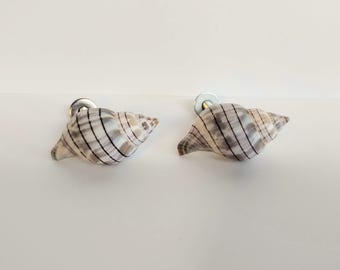 Pair of Smaller Florida Banded Tulip Drawer or Cabinet Knobs