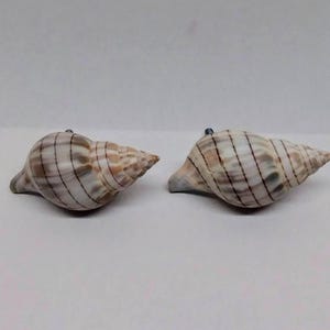 Pair of Banded Tulip Drawer or Cabinet Pulls
