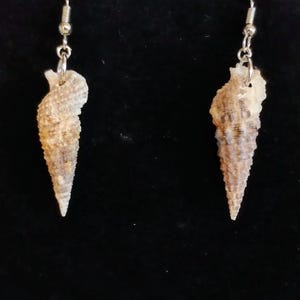 May include: A pair of dangle earrings featuring natural, spiral-shaped tan and brown seashells. Each shell is suspended from a silver-toned metal fishhook wire, showcasing a textured, conical surface with intricate ridges and a pointed base.