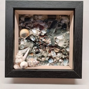 May include: A framed shadow box featuring a collection of seashells, sand, and a starfish. The frame is black with a light wood interior. Various seashells in shades of white, tan, and gray are arranged on a sandy background, with a gray starfish.