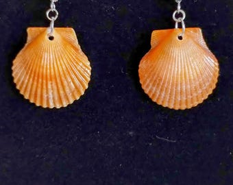 Bright Orange Bay Scallop Florida Seashell Earrings