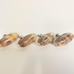 May include: Four decorative cabinet knobs made from natural seashells. The knobs are oval-shaped, with a glossy finish and a mix of tan, brown, and cream colors. Each knob has a silver-toned metal screw for mounting.