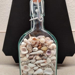 Green Bottle with Shells
